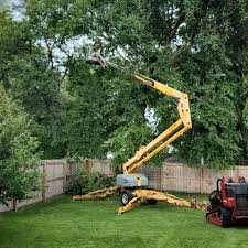 Mulching Services in Lake St Croix Beach, MN