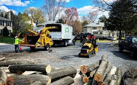 Best Arborist Consultation Services  in Lake St Croix Beach, MN